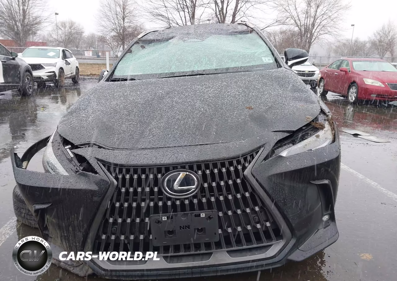 2025 Lexus Nx 350H Premium VIN:2T2GKCEZXSC051186 - 12