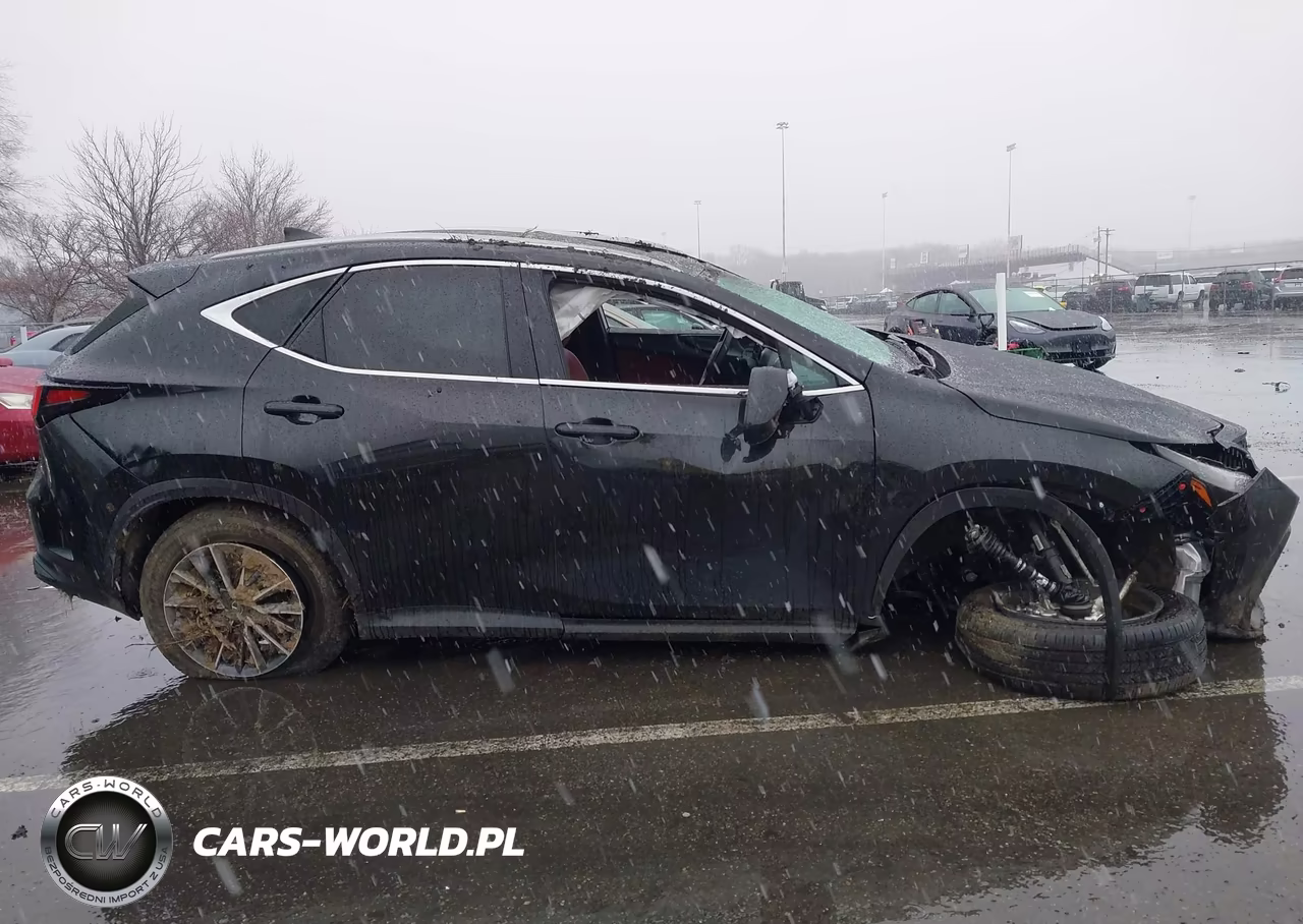 2025 Lexus Nx 350H Premium VIN:2T2GKCEZXSC051186 - 13