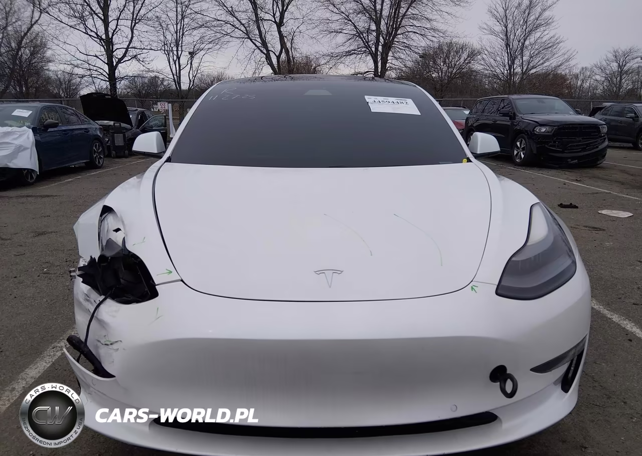 2021 Tesla Model 3 Standard Range Plus Rear-Wheel Drive VIN:5YJ3E1EA2MF029139 - 12