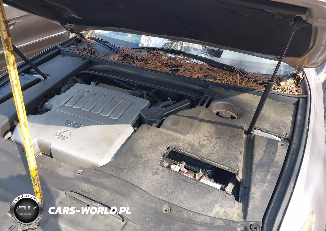 2007 Lexus Es 350 VIN:JTHBJ46GX72029696 - 10