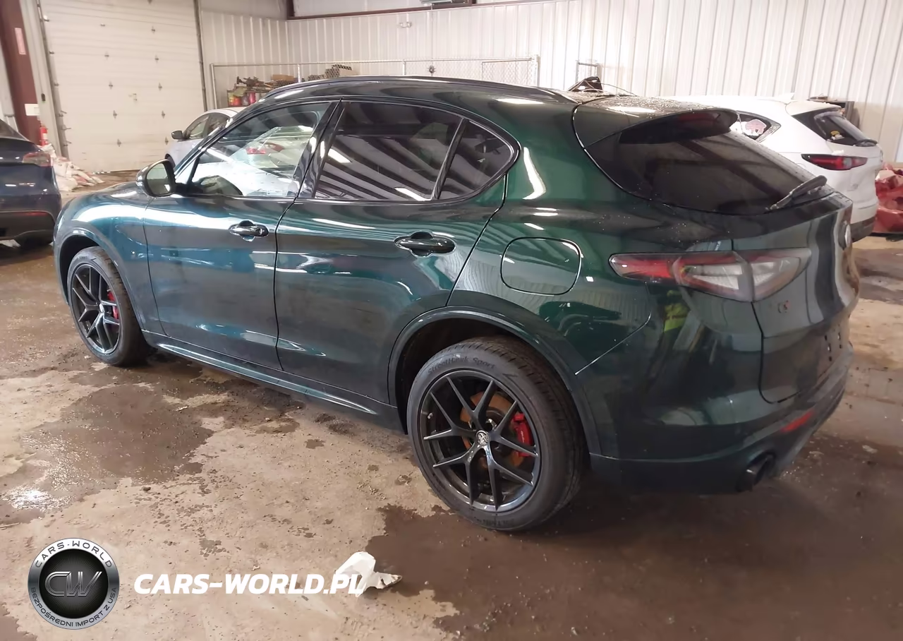 2021 Alfa Romeo Stelvio Ti Sport Awd VIN:ZASPAKBNXM7D18292 - 3