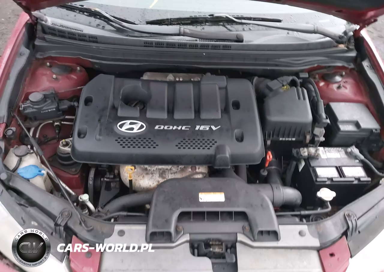 HYUNDAI ELANTRA VIN:KMHDU46D07U251669 - 10