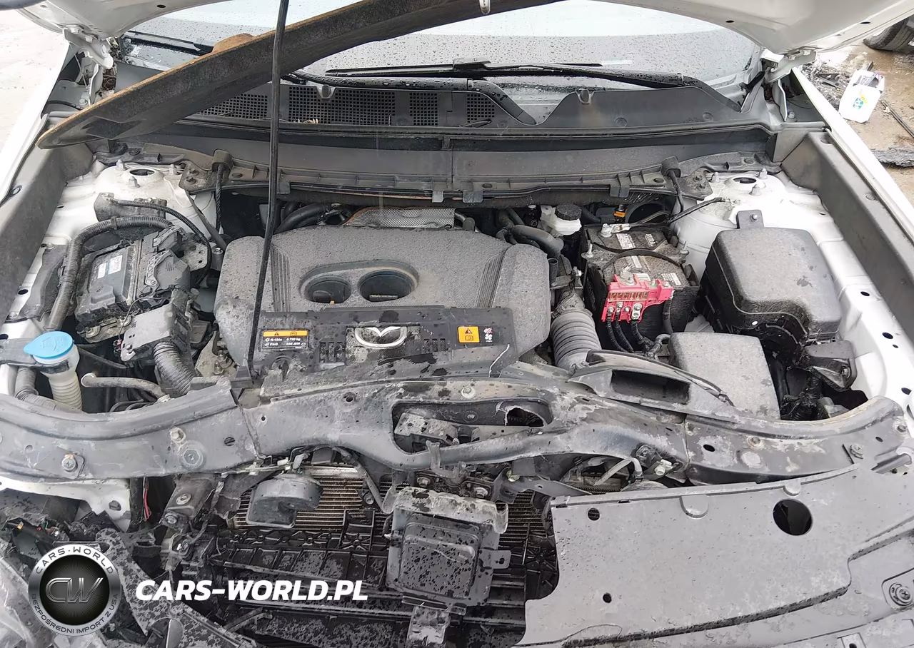 2020 Mazda Cx-9 Grand Touring VIN:JM3TCADY4L0408250 - 10
