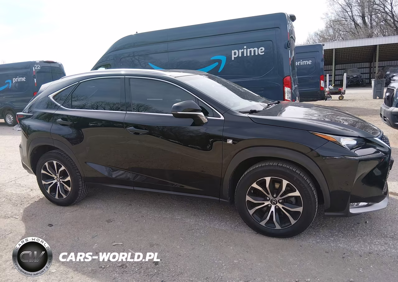 2016 Lexus Nx 200T F Sport VIN:JTJBARBZ4G2082302 - 13
