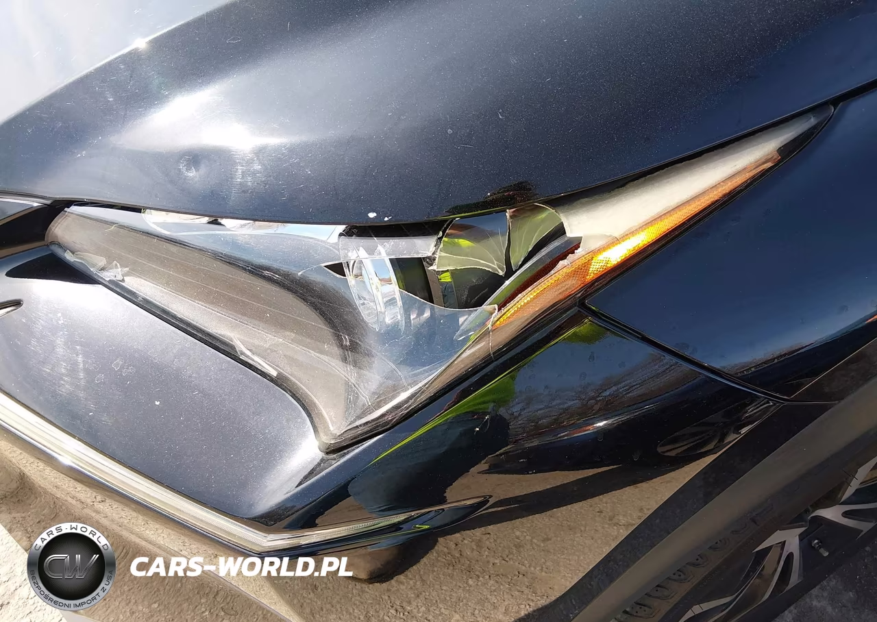 2016 Lexus Nx 200T F Sport VIN:JTJBARBZ4G2082302 - 17