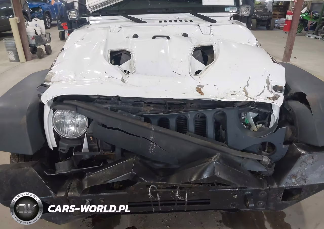 2016 Jeep Wrangler Unlimited Rubicon Hard Rock VIN:1C4HJWFG5GL100711 - 6