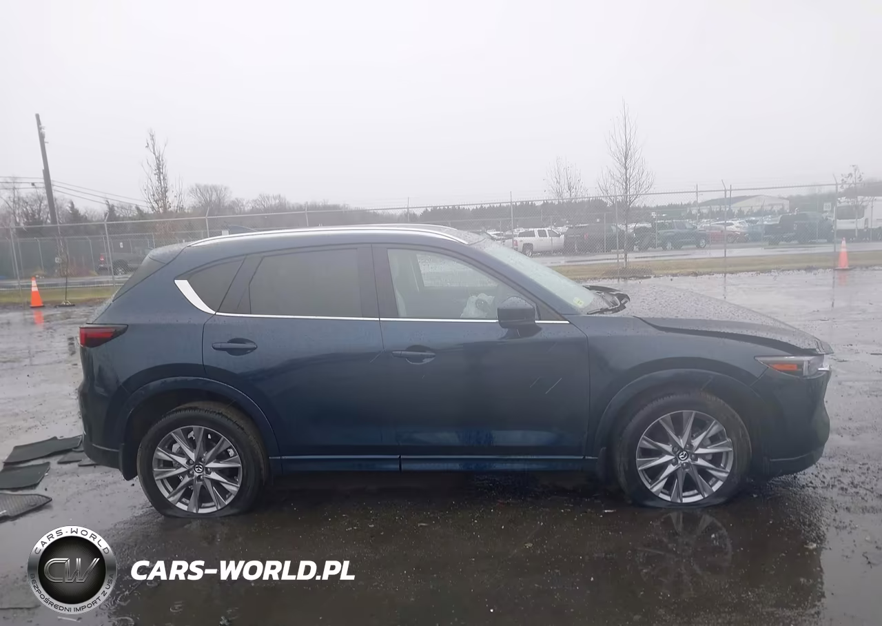 2025 Mazda Cx-5 2.5 S Premium Plus VIN:JM3KFBEM4S0609911 - 14
