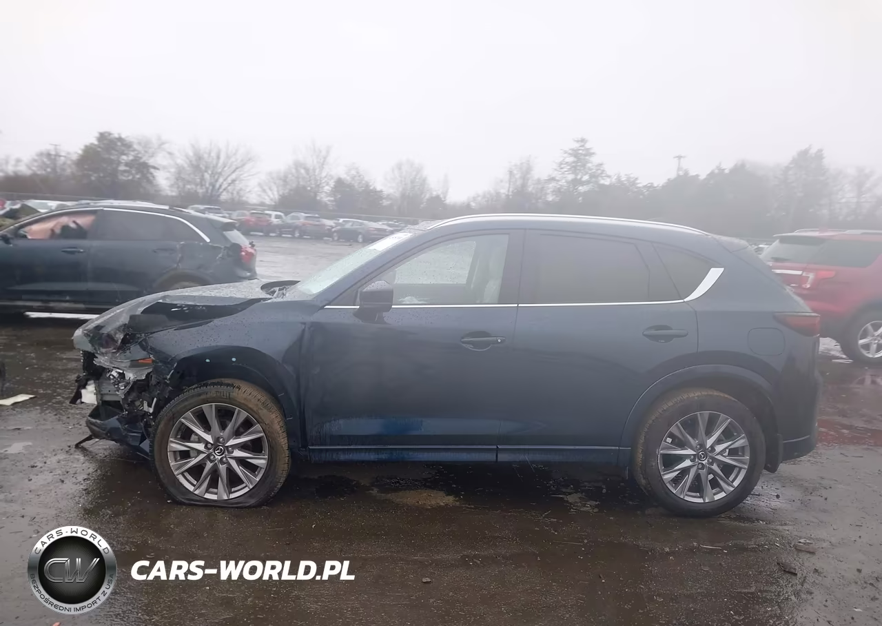2025 Mazda Cx-5 2.5 S Premium Plus VIN:JM3KFBEM4S0609911 - 15