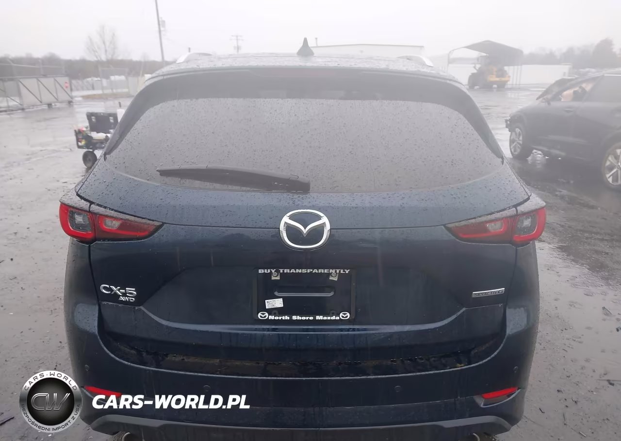 2025 Mazda Cx-5 2.5 S Premium Plus VIN:JM3KFBEM4S0609911 - 17