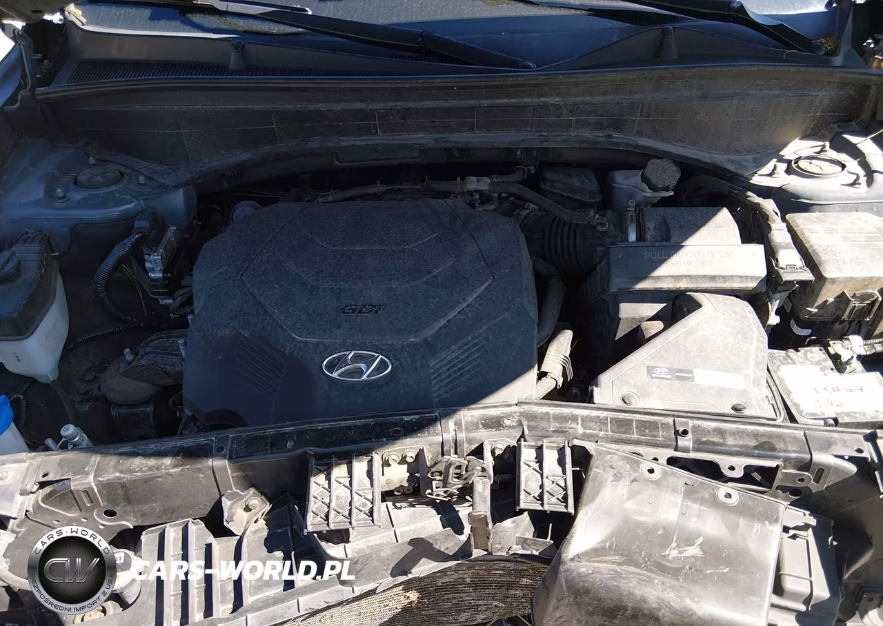 2020 Hyundai Palisade Limited VIN:KM8R5DHE5LU038932 - 10