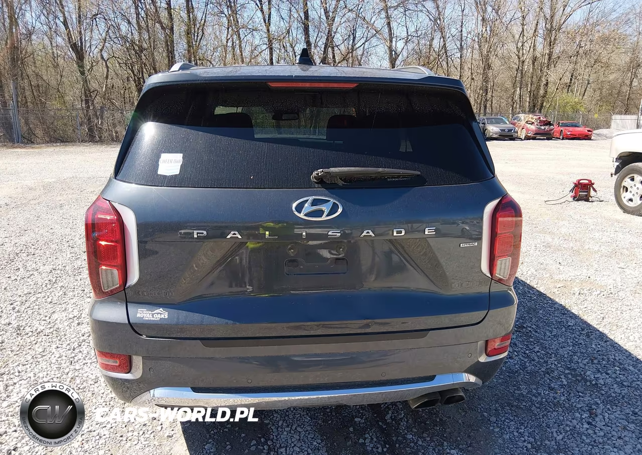 2020 Hyundai Palisade Limited VIN:KM8R5DHE5LU038932 - 17