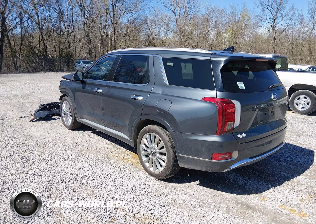 2020 Hyundai Palisade Limited VIN:KM8R5DHE5LU038932 - 3