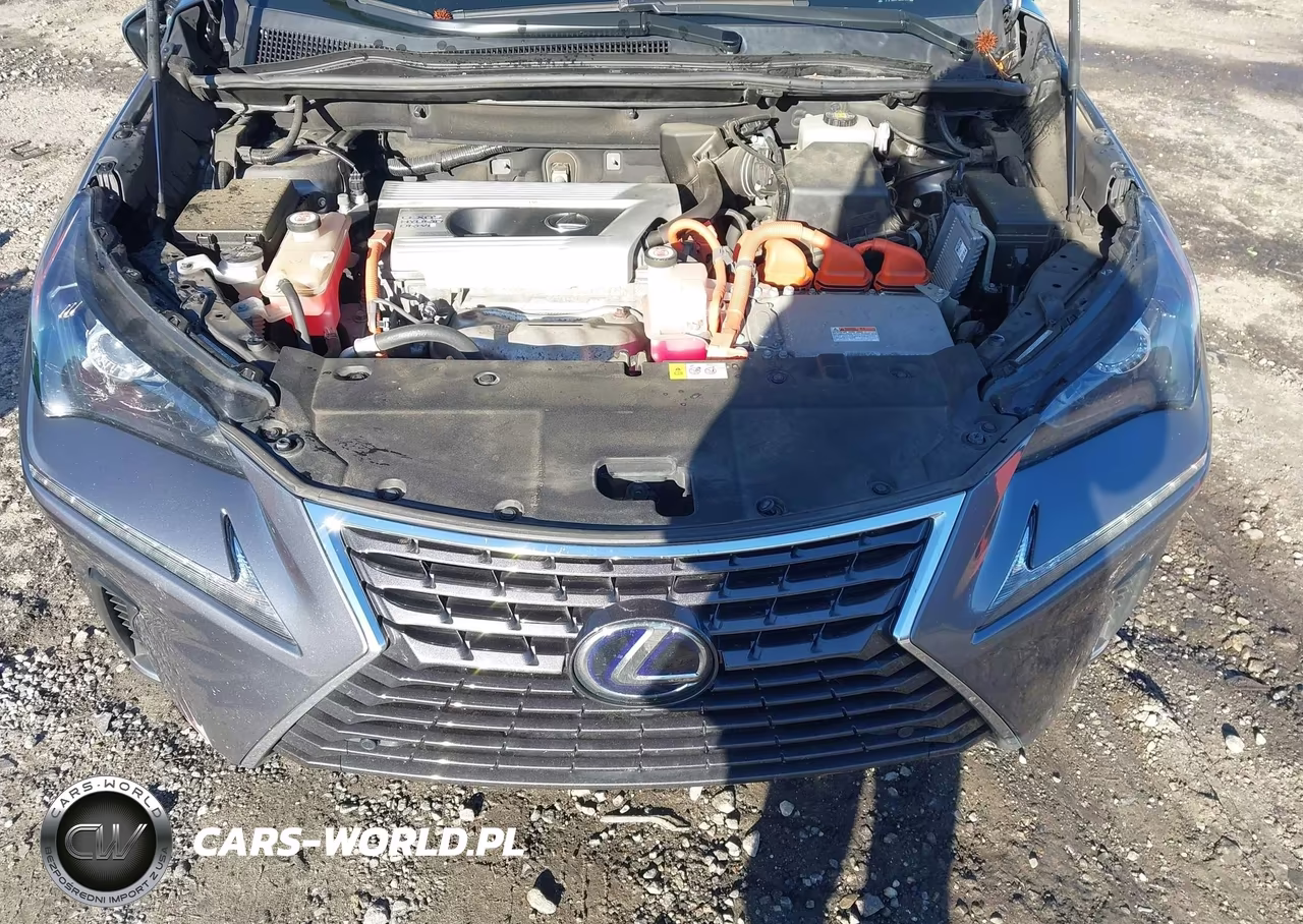 2018 Lexus Nx 300H VIN:JTJBJRBZ4J2076443 - 10