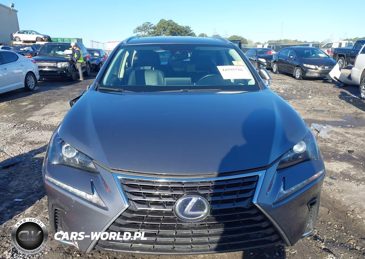 2018 Lexus Nx 300H VIN:JTJBJRBZ4J2076443 - 12