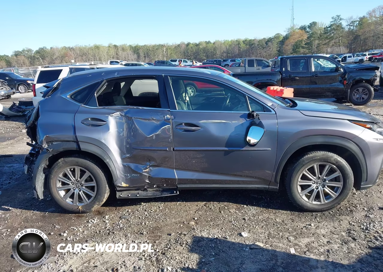 2018 Lexus Nx 300H VIN:JTJBJRBZ4J2076443 - 13