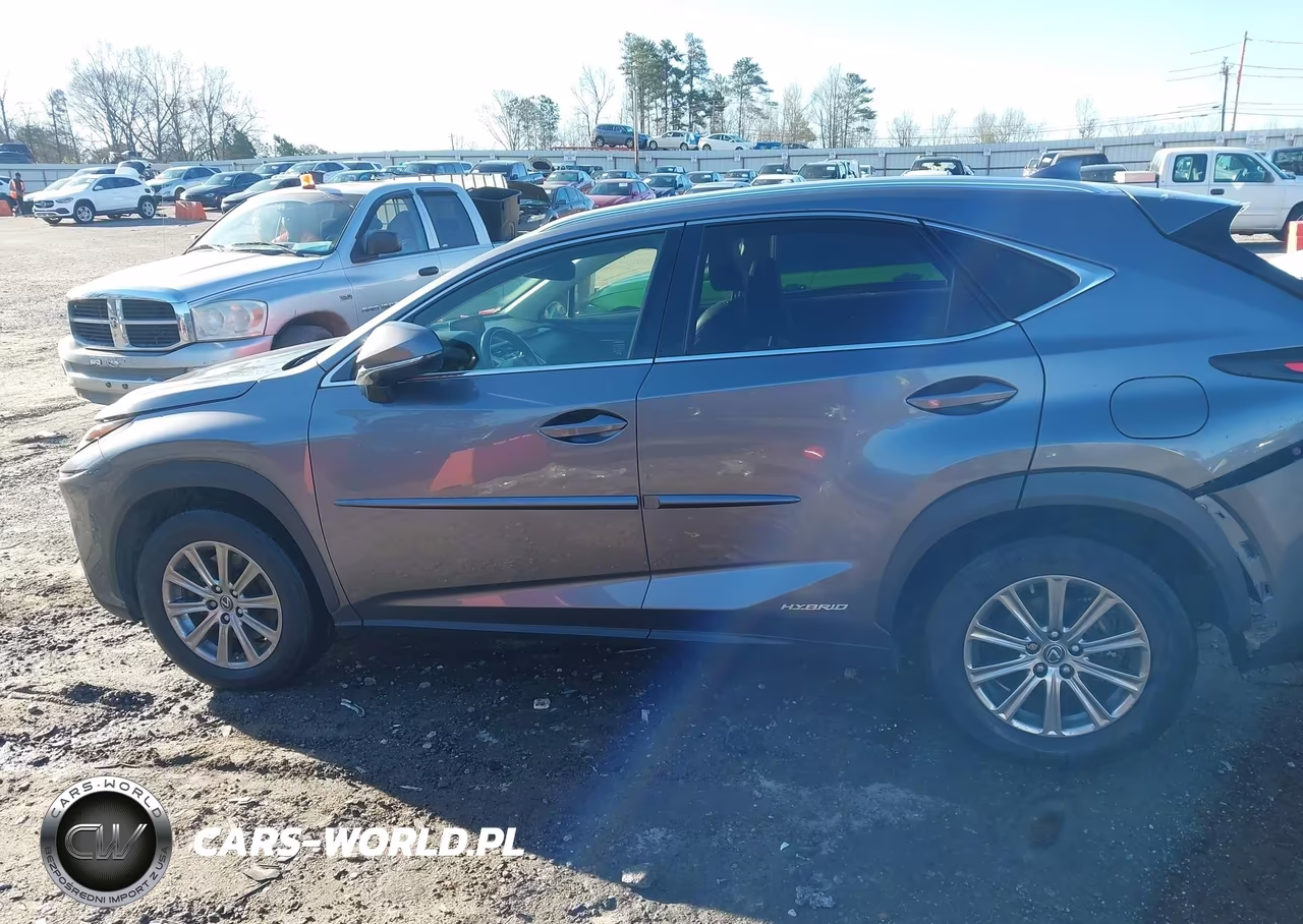 2018 Lexus Nx 300H VIN:JTJBJRBZ4J2076443 - 14