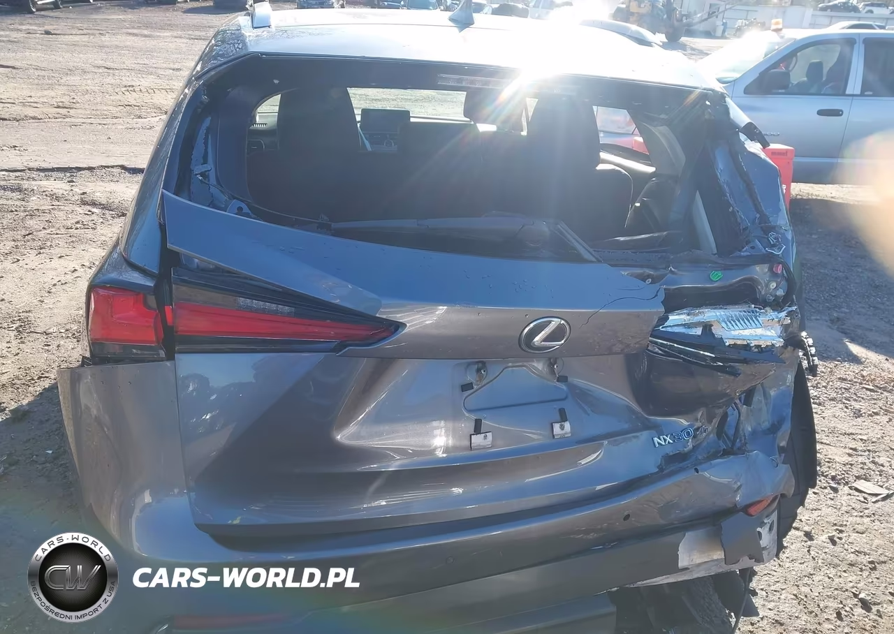 2018 Lexus Nx 300H VIN:JTJBJRBZ4J2076443 - 16
