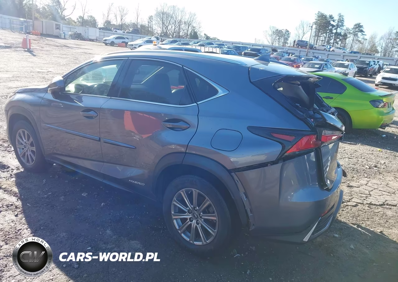 2018 Lexus Nx 300H VIN:JTJBJRBZ4J2076443 - 3