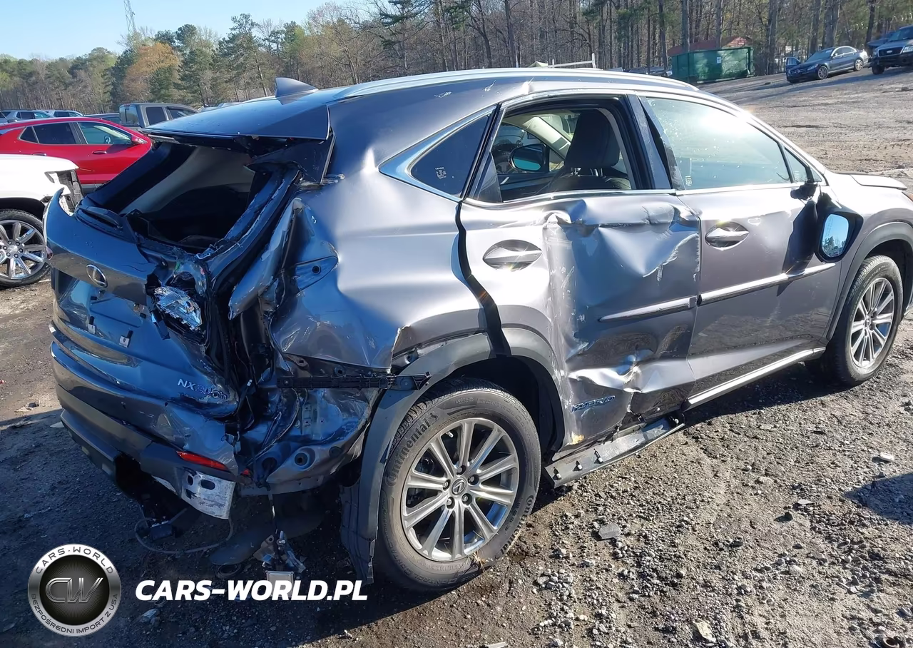 2018 Lexus Nx 300H VIN:JTJBJRBZ4J2076443 - 4