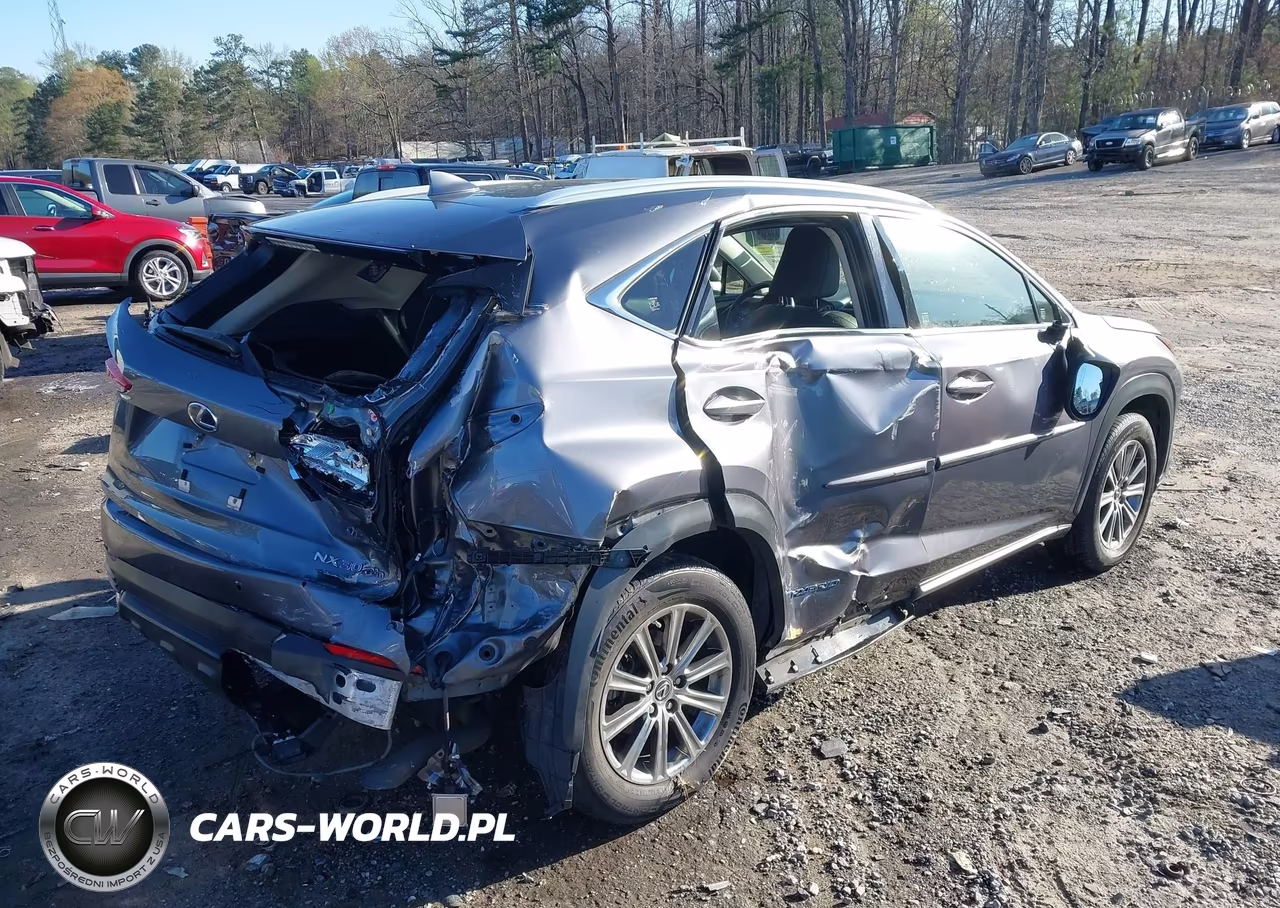 2018 Lexus Nx 300H VIN:JTJBJRBZ4J2076443 - 6