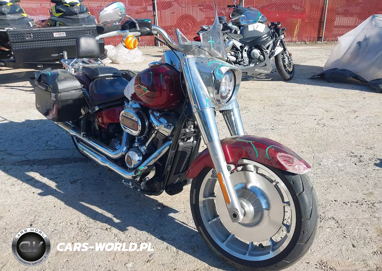2023 Harley-Davidson Flfbsanv