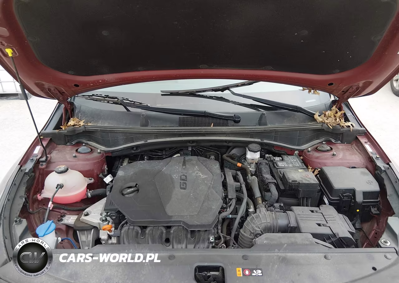 2023 Kia Sportage X-Pro Prestige VIN:5XYK7CAF2PG067132 - 10