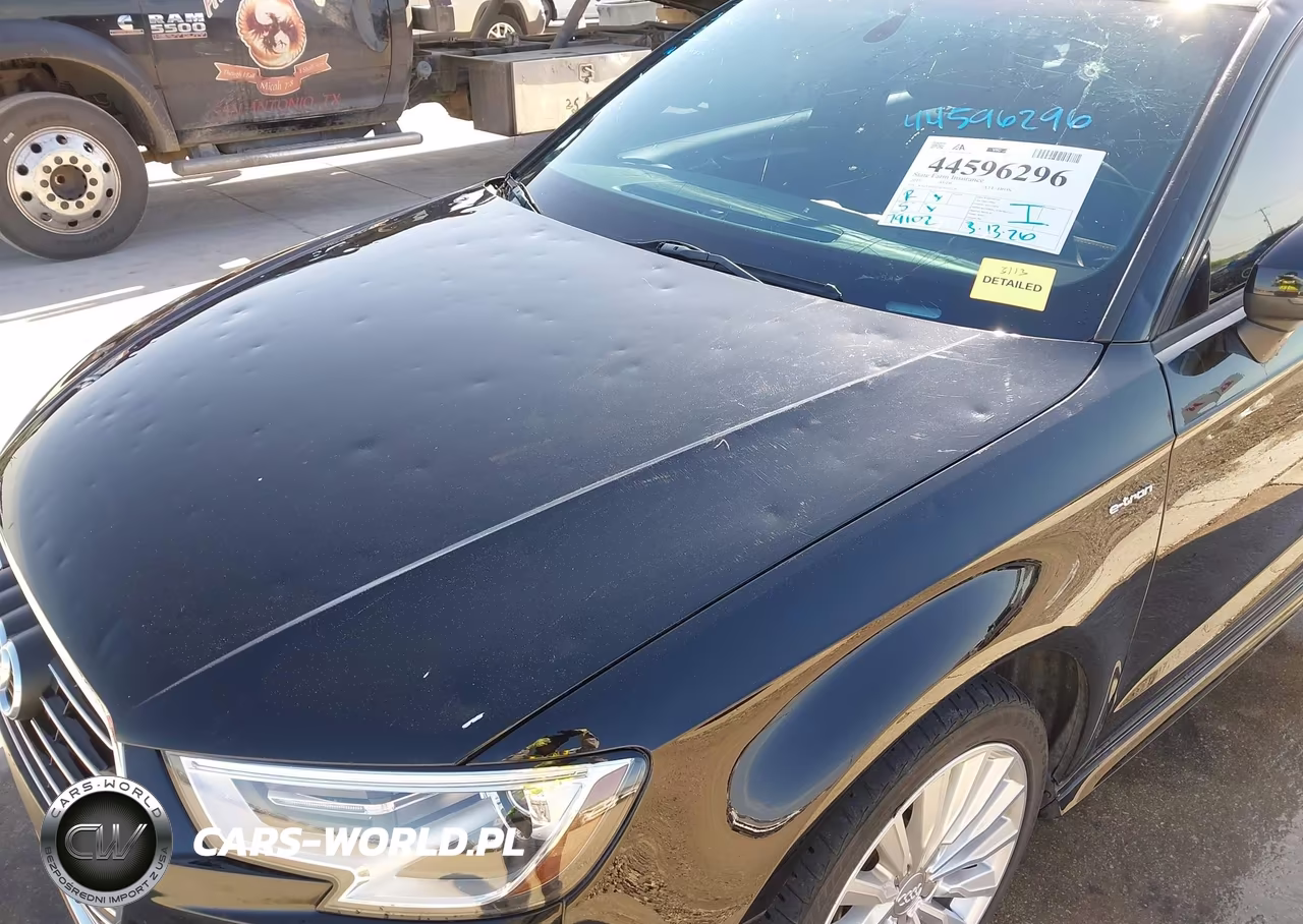 2017 Audi A3 E-Tron 1.4T Premium VIN:WAUUPBFF1HA057279 - 6