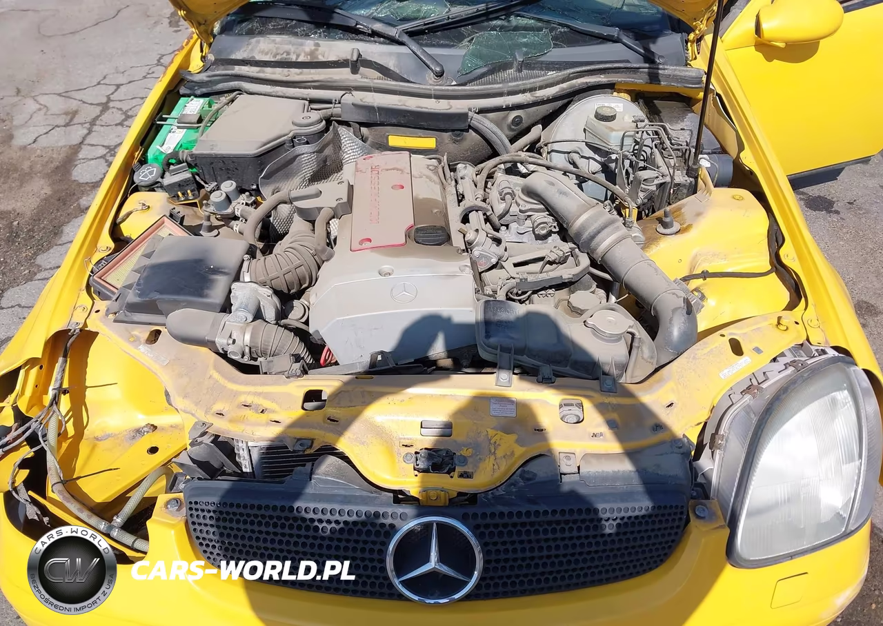 1998 Mercedes-Benz Slk 230 VIN:WDBKK47F5WF078346 - 10