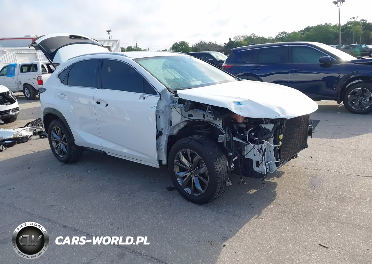 2021 Lexus Nx 300 F Sport