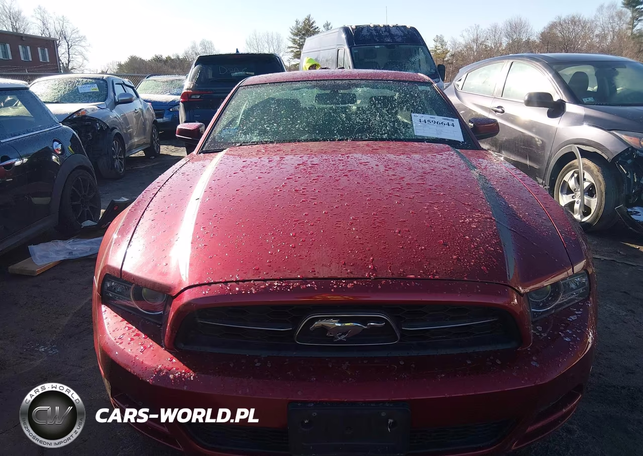 2014 Ford Mustang V6 Premium VIN:1ZVBP8AMXE5221486 - 13