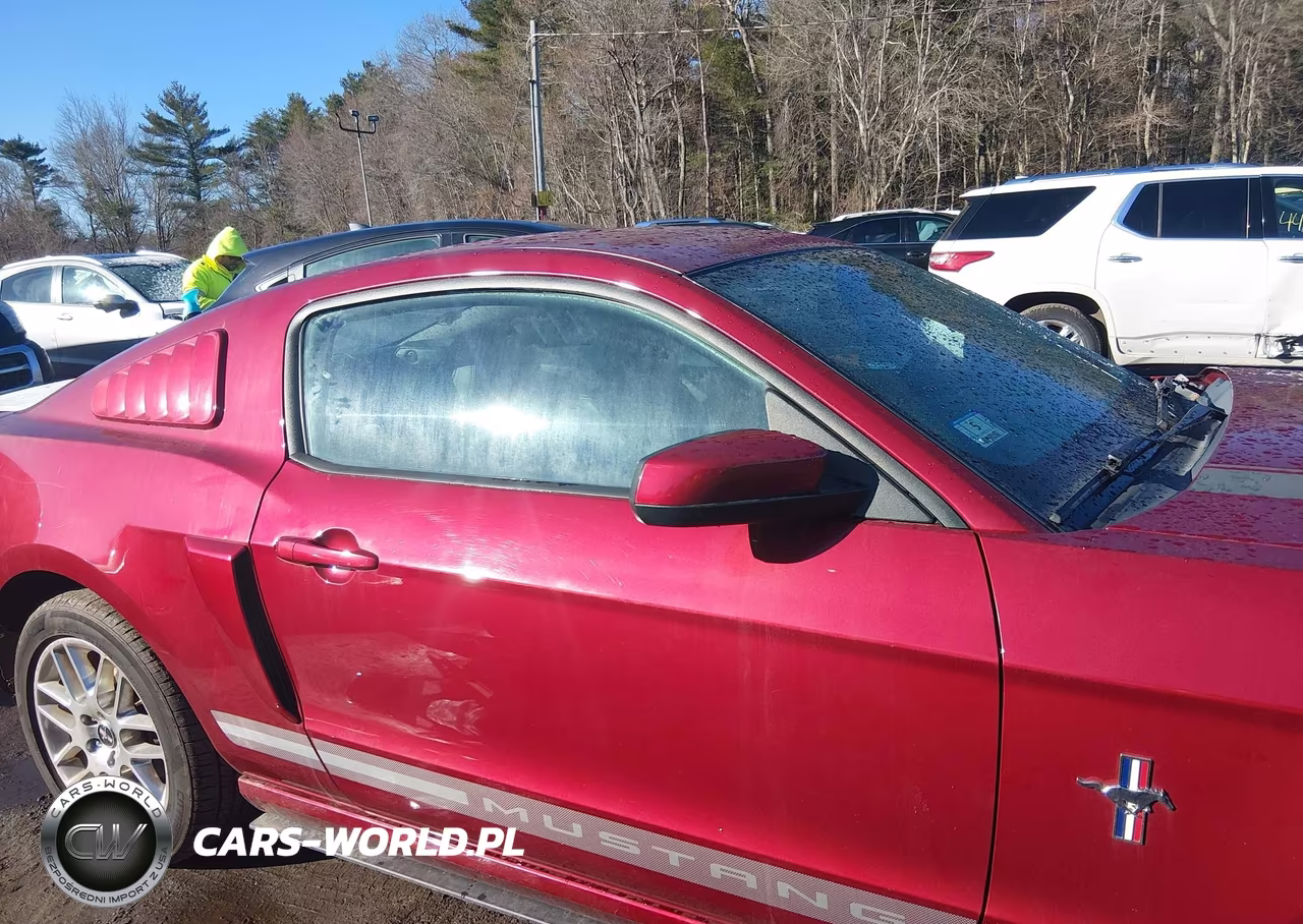 2014 Ford Mustang V6 Premium VIN:1ZVBP8AMXE5221486 - 14