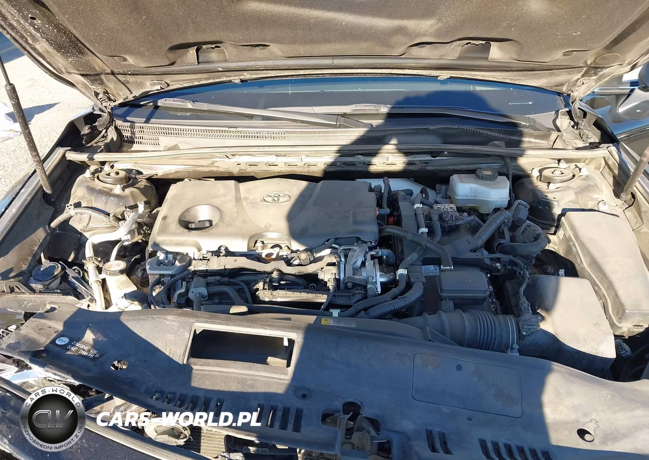 2020 Toyota Camry Se Hybrid VIN:4T1G31AK9LU519763 - 10