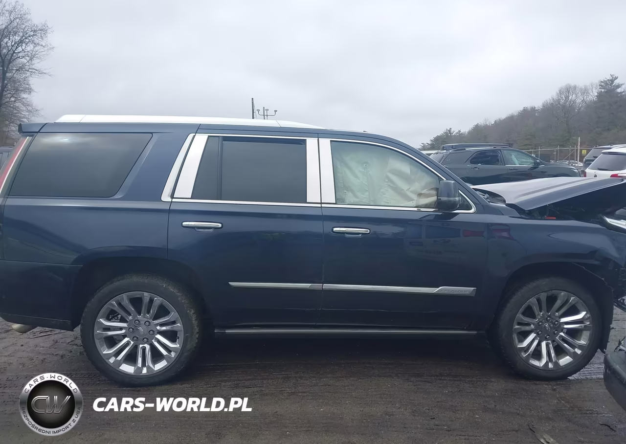 2020 Cadillac Escalade 4Wd Premium Luxury VIN:1GYS4CKJ2LR140677 - 13