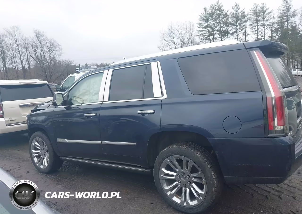 2020 Cadillac Escalade 4Wd Premium Luxury VIN:1GYS4CKJ2LR140677 - 14