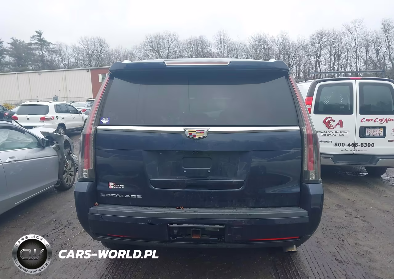 2020 Cadillac Escalade 4Wd Premium Luxury VIN:1GYS4CKJ2LR140677 - 16