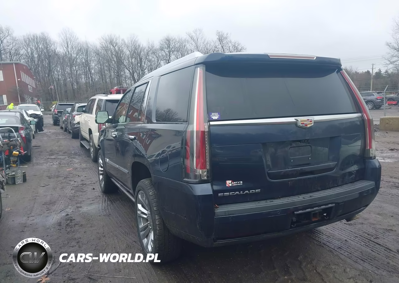 2020 Cadillac Escalade 4Wd Premium Luxury VIN:1GYS4CKJ2LR140677 - 3