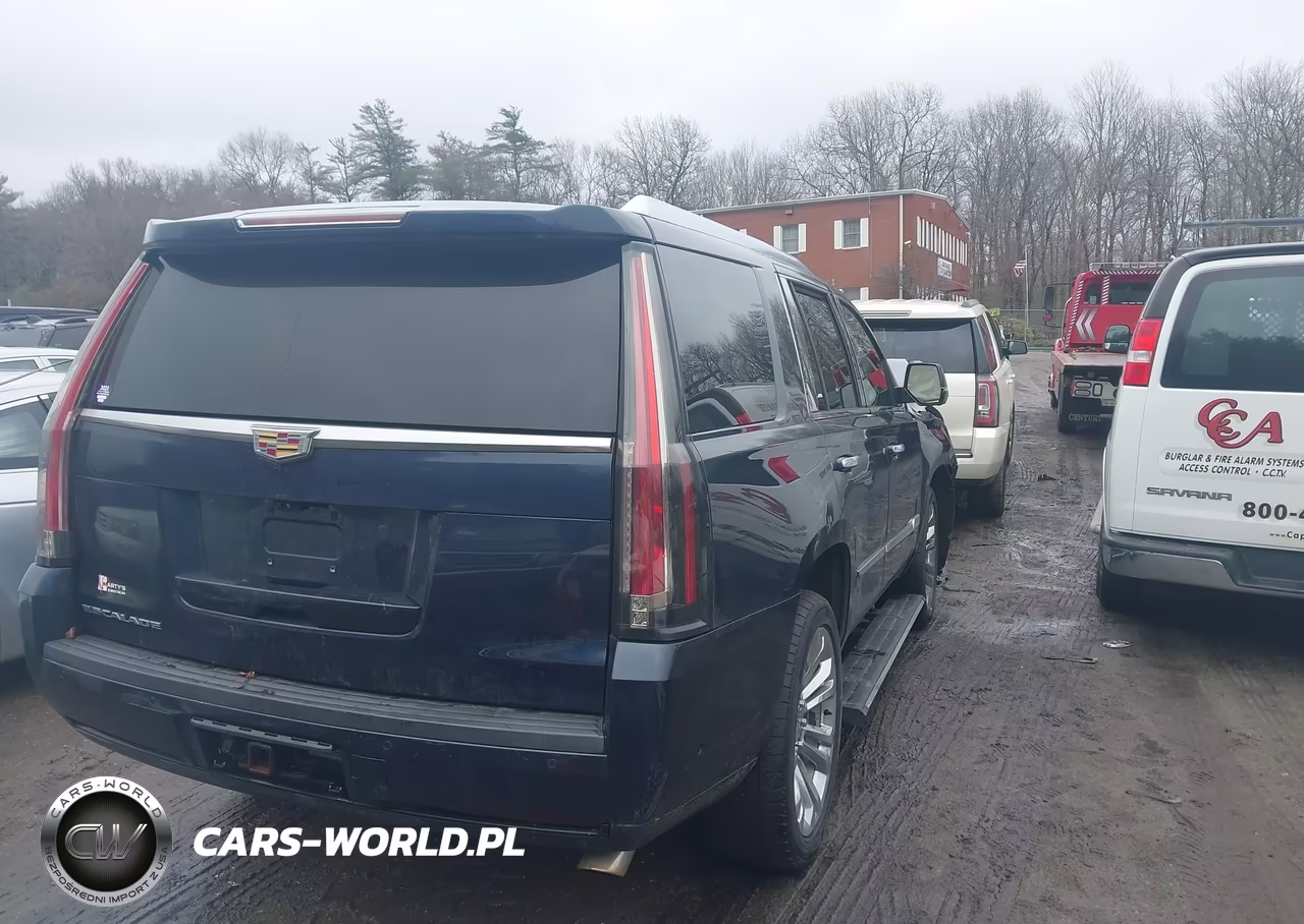 2020 Cadillac Escalade 4Wd Premium Luxury VIN:1GYS4CKJ2LR140677 - 4