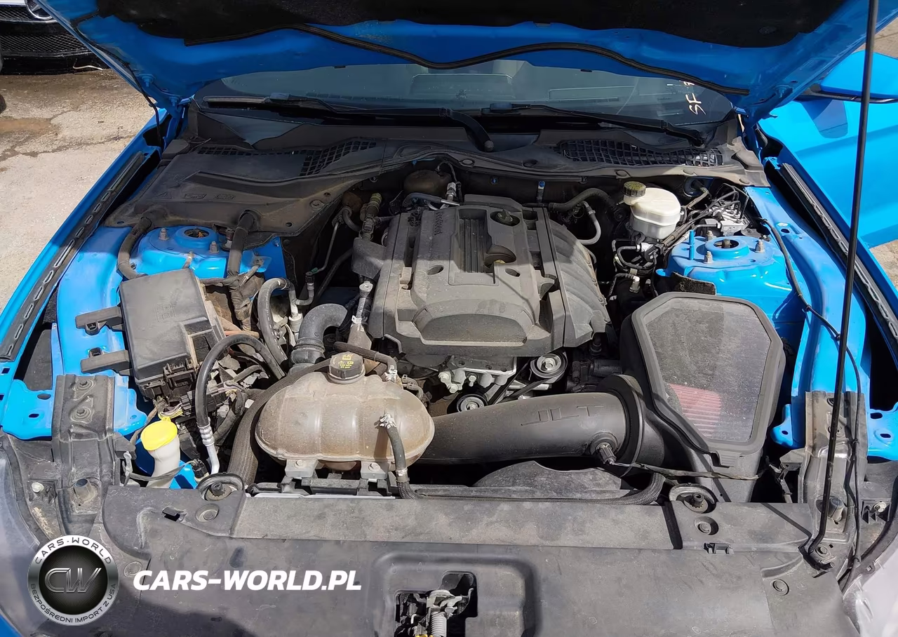 2017 Ford Mustang Ecoboost VIN:1FA6P8TH8H5265467 - 10