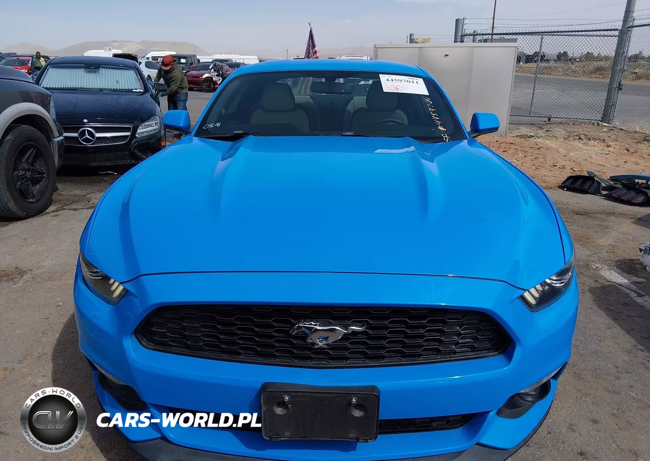 2017 Ford Mustang Ecoboost VIN:1FA6P8TH8H5265467 - 13