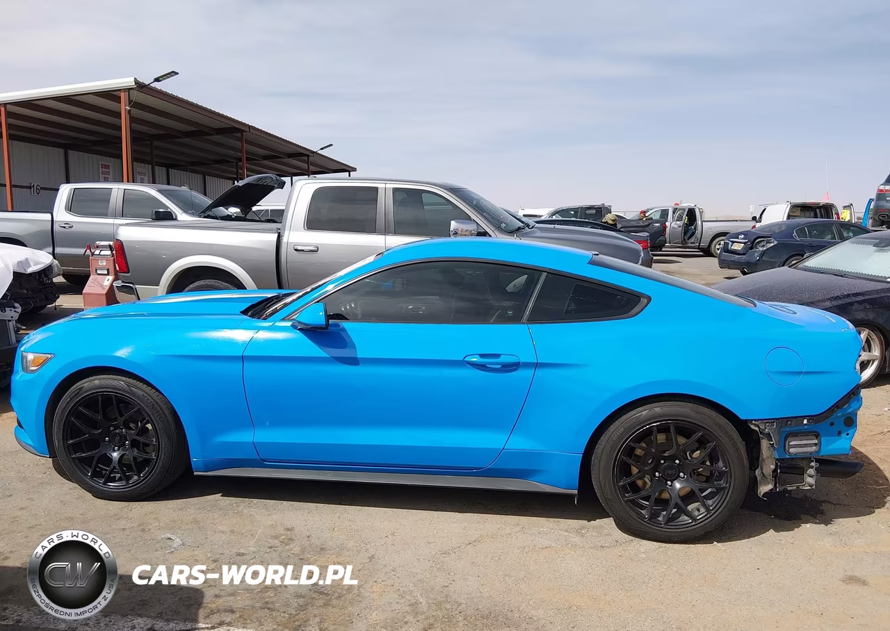 2017 Ford Mustang Ecoboost VIN:1FA6P8TH8H5265467 - 15