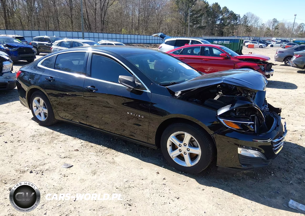 2019 Chevrolet Malibu 1Ls