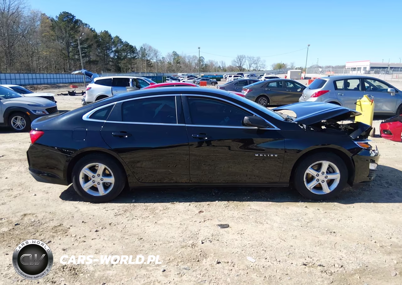 2019 Chevrolet Malibu 1Ls VIN:1G1ZB5ST9KF207081 - 12