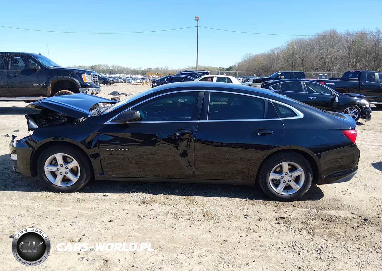 2019 Chevrolet Malibu 1Ls VIN:1G1ZB5ST9KF207081 - 13