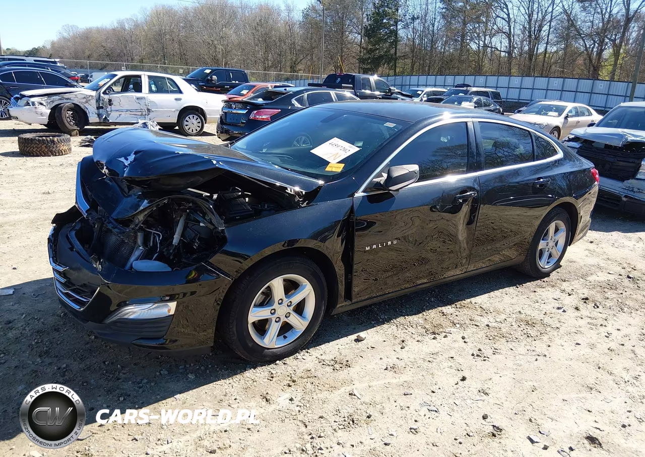 2019 Chevrolet Malibu 1Ls VIN:1G1ZB5ST9KF207081 - 2