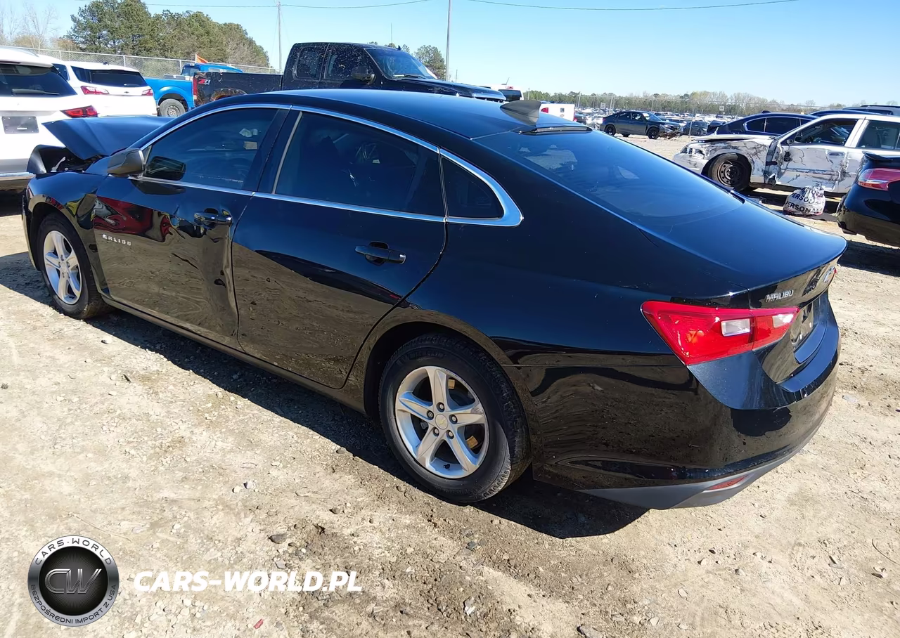 2019 Chevrolet Malibu 1Ls VIN:1G1ZB5ST9KF207081 - 3