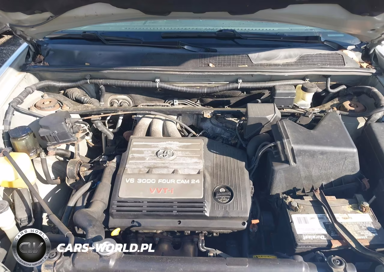 2002 Toyota Highlander Limited V6 VIN:JTEHF21AX20086694 - 10