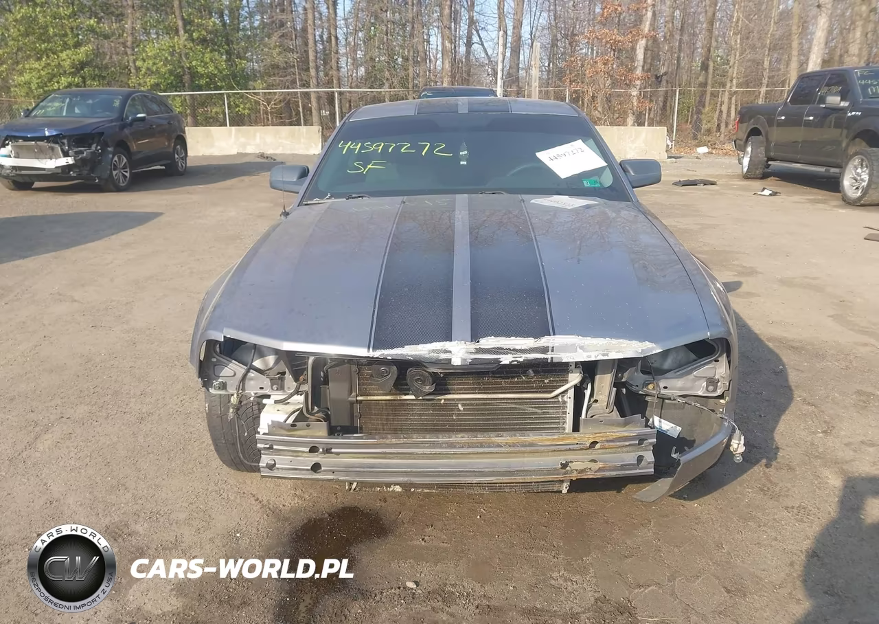 2006 Ford Mustang V6 VIN:1ZVFT80N165127344 - 13
