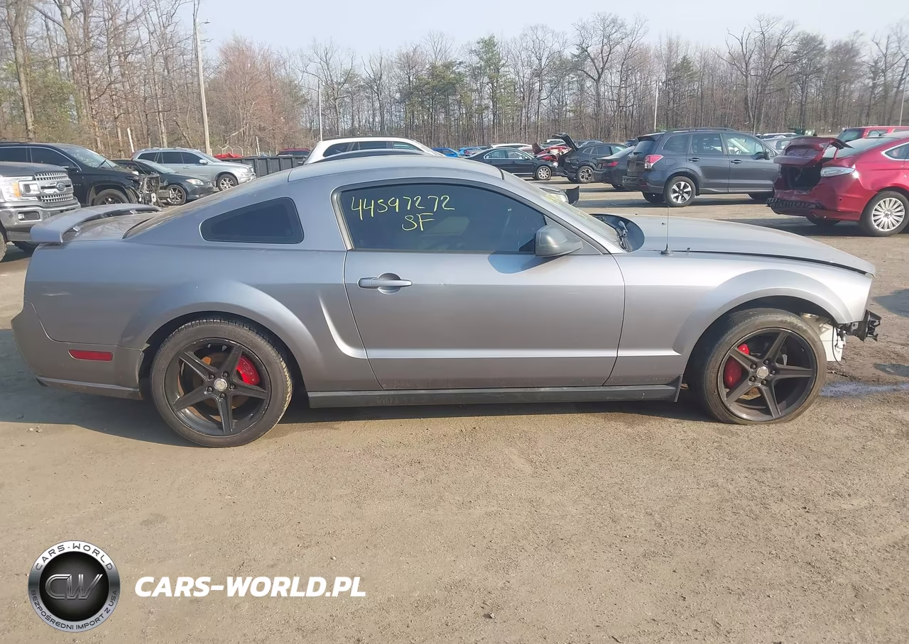 2006 Ford Mustang V6 VIN:1ZVFT80N165127344 - 14