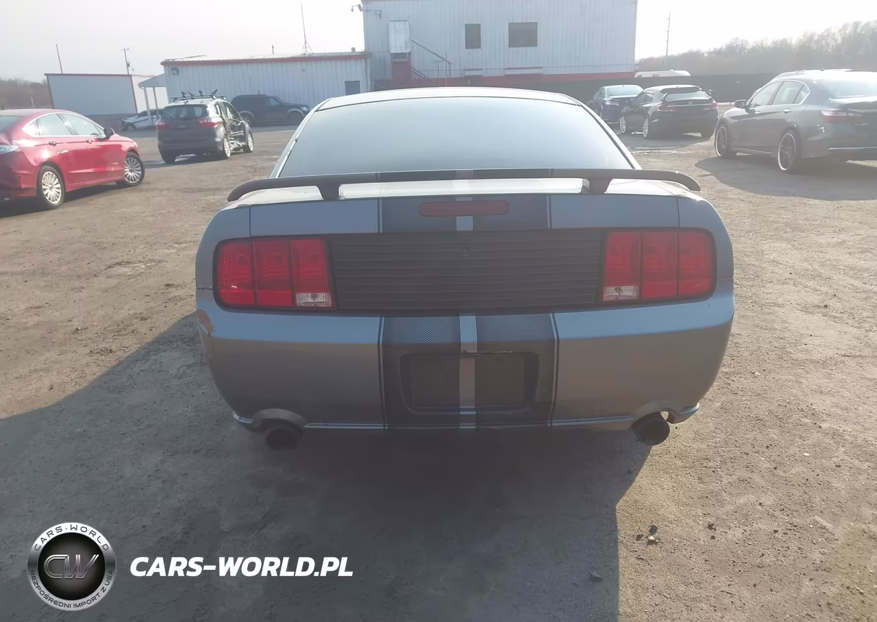2006 Ford Mustang V6 VIN:1ZVFT80N165127344 - 17