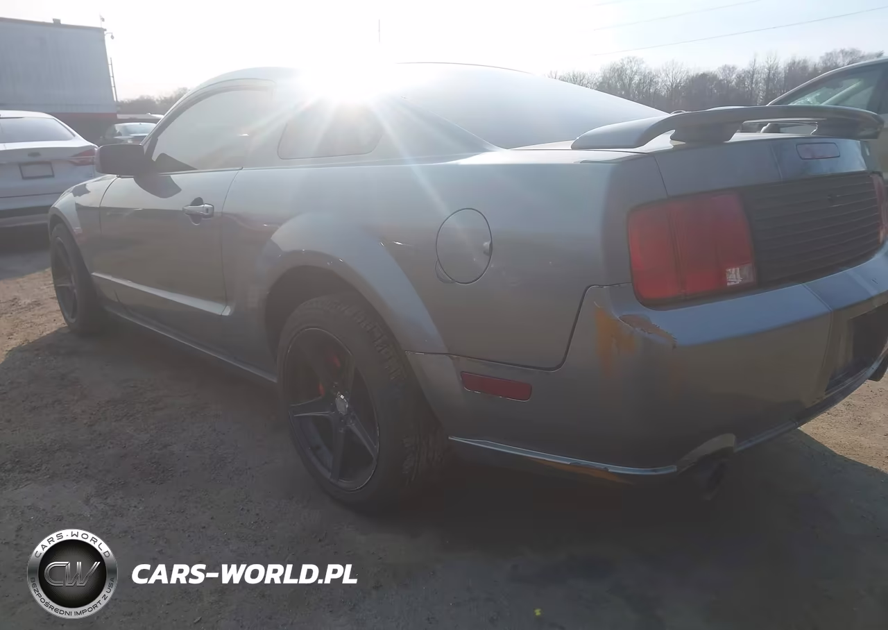 2006 Ford Mustang V6 VIN:1ZVFT80N165127344 - 3
